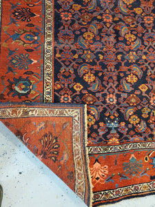  Best Bidjar Rugs