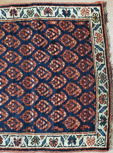 Kurdish Rug, Rug Runner Tribal Rug