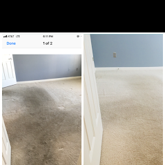 Professional Carpet Cleaning Residential